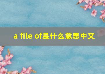 a file of是什么意思中文